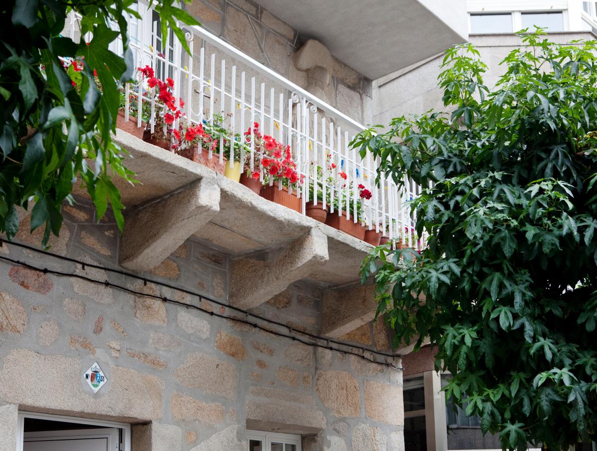 Rianxo, Rianxiño e A Fincheira